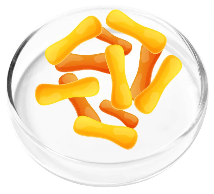 FemiCore-ingredients-9