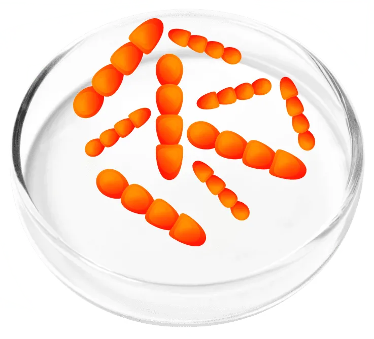 FemiCore-ingredients-5